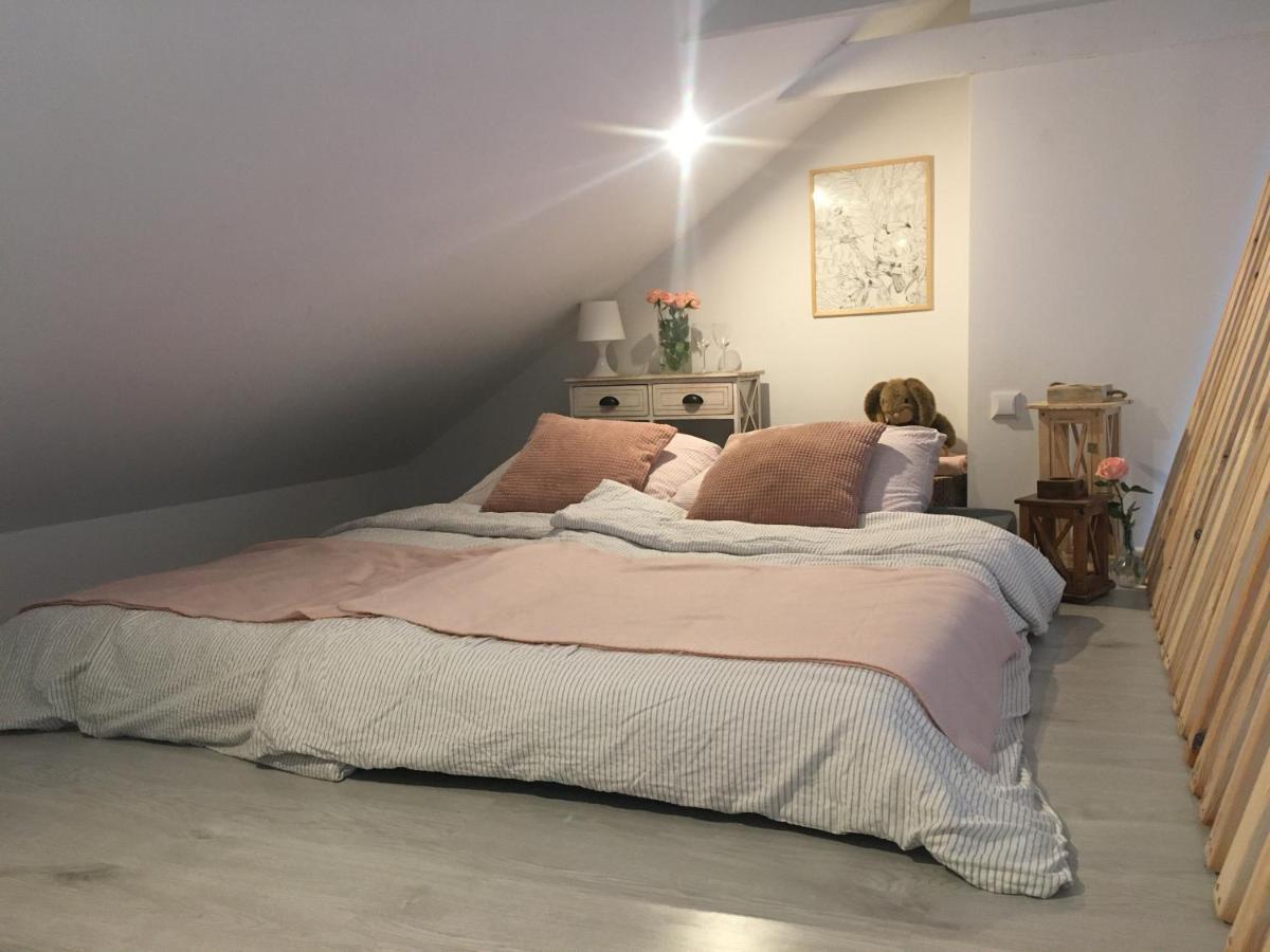 Apartament Z Antresola Okszow ภายนอก รูปภาพ